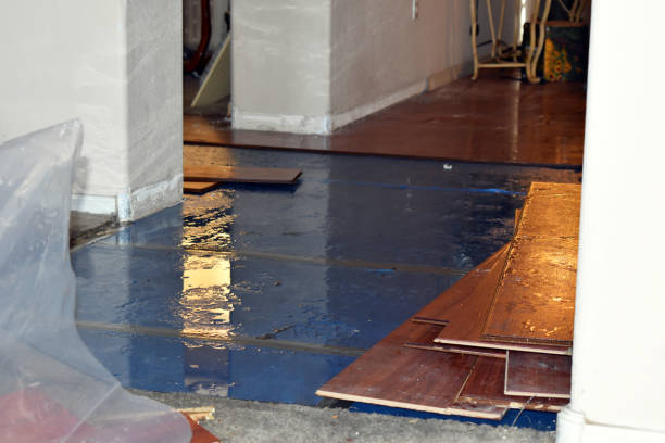 Professional Basement Flooding technician working in North Easton, MA